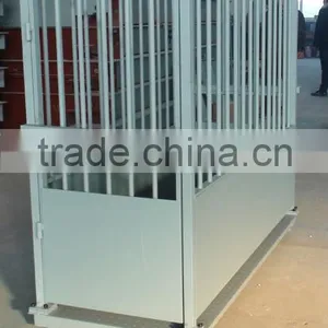 Livestock Platform Scales thumbnail-2