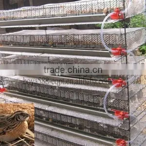Automatic Quail Layer Cage Systems With Auto Drinker and Feeder thumbnail-2