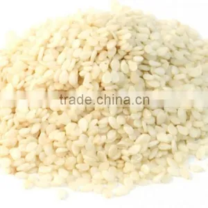 White Sesame Seed thumbnail-1
