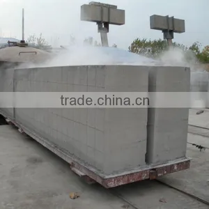 TOP Quality Shandong Linyi AAC Autoclaved Fly Ash Lime Block Making Machine - TIANYUAN BRAND thumbnail-2