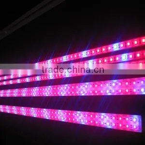 Multicolor 5050RGB Led Light Strip thumbnail-2