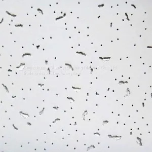 Soundproof Mineral Fiber Ceiling/Board thumbnail-3