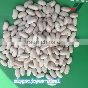 White Kidney Beans, Crop 2015 Crop thumbnail-1