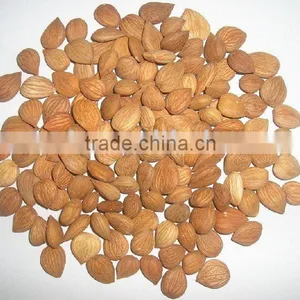 Apricot Kernel thumbnail-1