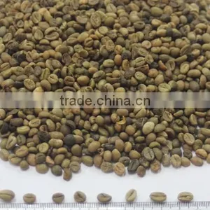 UNWASHED ROBUSTA GREEN COFFEE BEANS GRADE 1 SCREEN 18 thumbnail-6