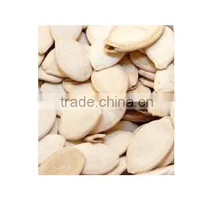Pumpkin Seed With High Quality thumbnail-1