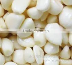 Frozen Peeled Garlic thumbnail-2