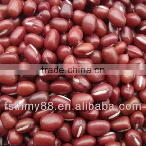 Selected Big Red Bean Above 5.2mm thumbnail-1