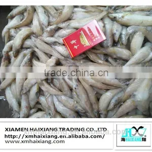 Frozen Silver Sillago Fish thumbnail-1