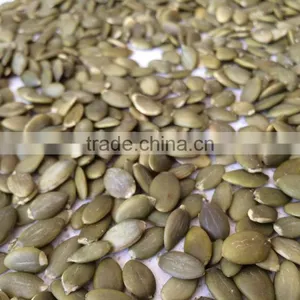 Chinese Grade AA Pumpkin Kernels Without Shell thumbnail-5