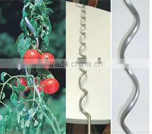 Climbing Plant Support thumbnail-1
