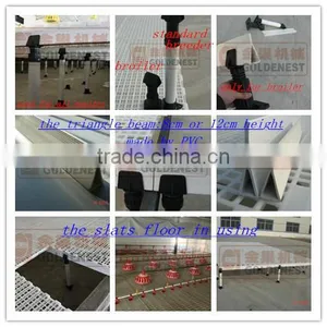 Plastic Flooring Slat for Poultry Chicken House and Pig Farm thumbnail-1
