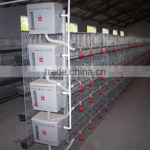 Chicken Egg Laying Equipment thumbnail-1