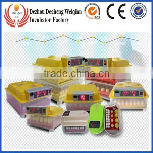 WQ-12 Capacity 12 Eggs Incubator for Chicken & Quail thumbnail-1