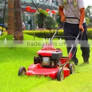 Gasoline Power Easy Control Low Noise Export Price Grass Cutting Machine by Hand thumbnail-1