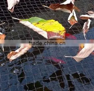 Pool Safety Net thumbnail-4