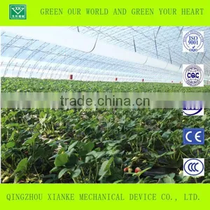 Low Cost Agriculture Greenhouse for Vegetable and Flowers thumbnail-1