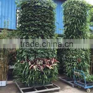 Plastic Vertical Garden Wall Planter,DIY Any Shape thumbnail-2