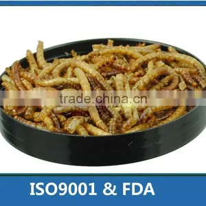 Poultry Feed Additive High Protein Mealworm thumbnail-1