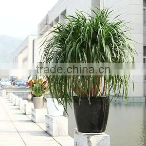 Round Self Watering Pot Plastic Flowerpot,garden Pots,flower Pot With Baking Finish thumbnail-1