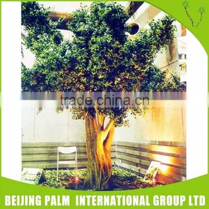 Large Indoor Garden Fake Plants For Sale Decorative Artificial Plant thumbnail-1