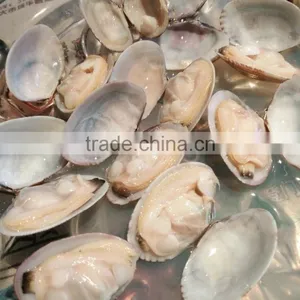 COOKED WHOLE BABY CLAM thumbnail-1