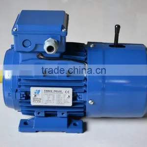 Three Phase Induction 0.75kW Brake Motor thumbnail-1