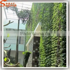 Popular Sale Home or Hotel Decoration Green Wall Vertical Garden Plastic Green Wall thumbnail-4