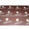 Film Faced Plywood thumbnail-1
