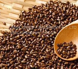 Cassia Seed Dried Tea Drying Oven thumbnail-5