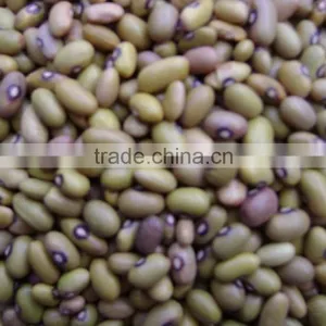 Offer Red Speckled Kidney White Beans Black Beans thumbnail-2