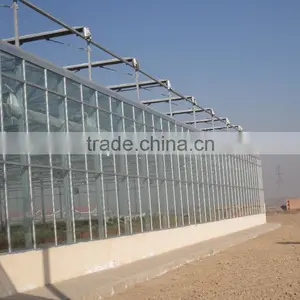 Agricultural Commercial Greenhouse thumbnail-5