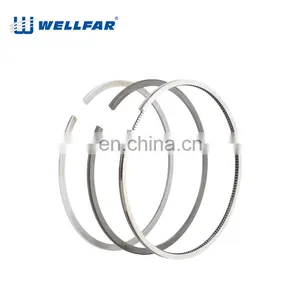 Wellfar French Car 206 Auto Parts 75mm Piston Rings For Peugeot 206 Engine thumbnail-4
