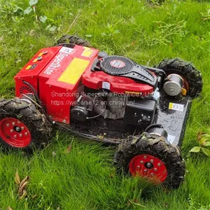 Grass Cutter Price, China Grass Cutting Machine Price, Remote Slope Mower for Sale thumbnail-1