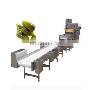 Factory Supplier Cucumber Pickles Making Machine thumbnail-1