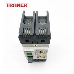 ELCB 2P TREF1-63 Earth Leakage Circuit Breaker ELCB 60947 2 Standard thumbnail-3