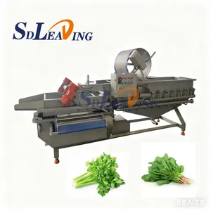 Automatic Bubbles Fruit Processing Vortex Vegetable Washing Machine With Bubble Ozone thumbnail-5