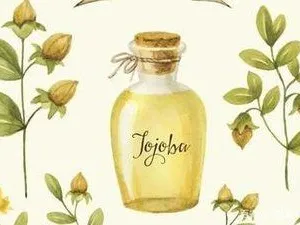 100L - 500L Jojoba Oil Essential Oil Distillation Equipment Extraction Equipment Distiller Extractor Machine thumbnail-6