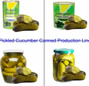 Professional Full Automatic Canned Pickles Vegetables Chili Production Line thumbnail-2