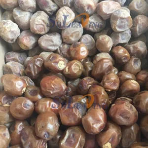 High Precision Medjool Palm Dates Brush Polishing Cleaning Machine Automatic Dry Dates Polishing Machine With Brush Roller Type thumbnail-3