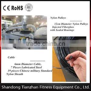 Luxury Fitness Equipment /arm Exercise Machine / TZ-6013 Biceps Machine thumbnail-2