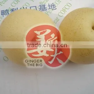 Fresh Pear thumbnail-1