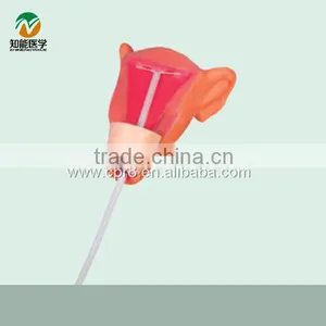 BIX-F9E Intrauterine Contraceptive Device Training Model thumbnail-1