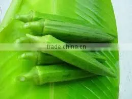 Organic Fresh Okra thumbnail-1
