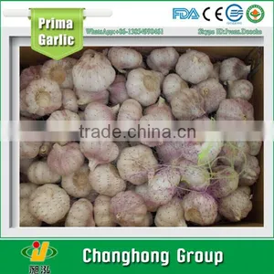 China Normal White Garlic 5 cm With Lowest Price thumbnail-1