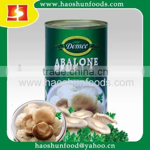 Fresh Crop Canned Abalone Mushroom thumbnail-1