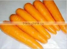 Carrots thumbnail-1