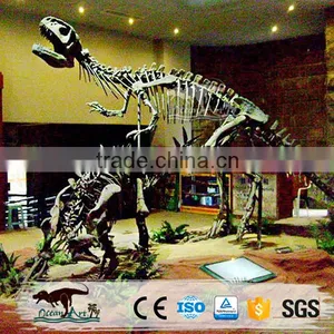 OA-SD-L36 Exhibition Equipment Dinosaur Fossil Skeleton Replica thumbnail-5