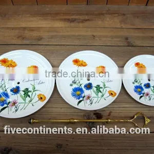 New Decal Ceramic Fruit Plates Set thumbnail-1