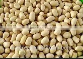 Supply Chinese Blanched Peanut Kernels Round for Sales thumbnail-4